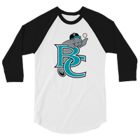 Brevard County Manatees
