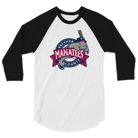 Brevard County Manatees