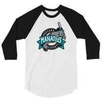 Brevard County Manatees