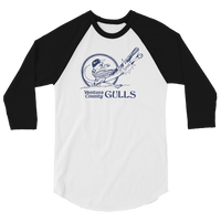 Ventura County Gulls