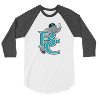 Brevard County Manatees