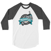 Brevard County Manatees