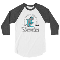 Brevard County Manatees