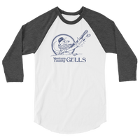 Ventura County Gulls