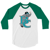 Brevard County Manatees