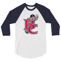 Brevard County Manatees