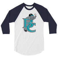 Brevard County Manatees