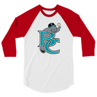 Brevard County Manatees