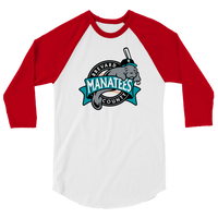 Brevard County Manatees