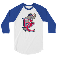 Brevard County Manatees