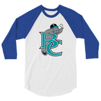 Brevard County Manatees
