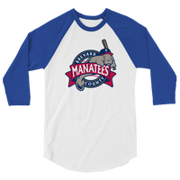 Brevard County Manatees