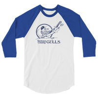 Ventura County Gulls