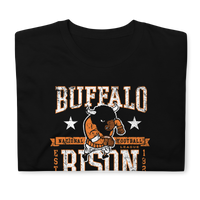 Buffalo Bison