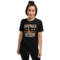 Buffalo Bison