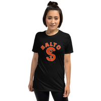 Baltimore Black Sox