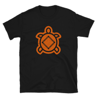 Baltimore Terrapins