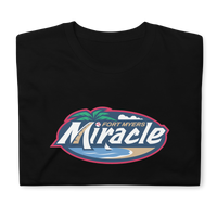 Fort Myers Miracle
