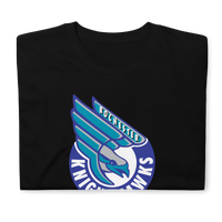 Rochester Knighthawks