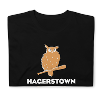 Hagerstown Owls