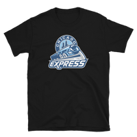 Chicago Express