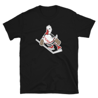 Long Island Ducks