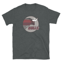 Jacksonville Bulls