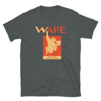 WAPE - Jacksonville, FL