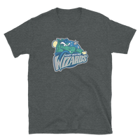 Fort Wayne Wizards