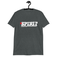 San Bernardino Spirit