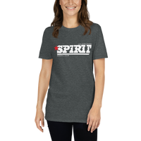 San Bernardino Spirit