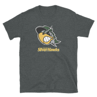 South Bend Silver Hawks