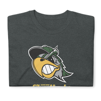 South Bend Silver Hawks