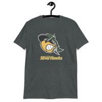 South Bend Silver Hawks