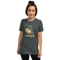 South Bend Silver Hawks