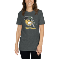 South Bend Silver Hawks