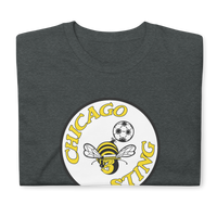 Chicago Sting