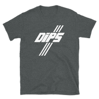 Washington Diplomats