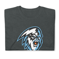 Kootenay Ice