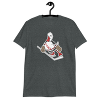 Long Island Ducks
