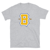 Boston Bees