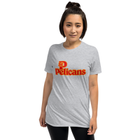 St. Petersburg Pelicans