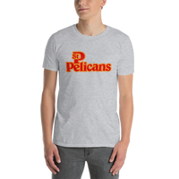 St. Petersburg Pelicans