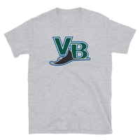 Vero Beach Devil Rays