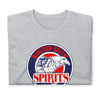 Winston-Salem Spirits