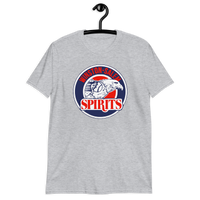 Winston-Salem Spirits