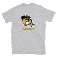 South Bend Silver Hawks