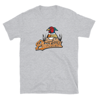 Sioux Falls Pheasants