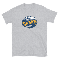 Minnesota Swarm