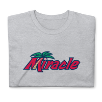 Fort Myers Miracle